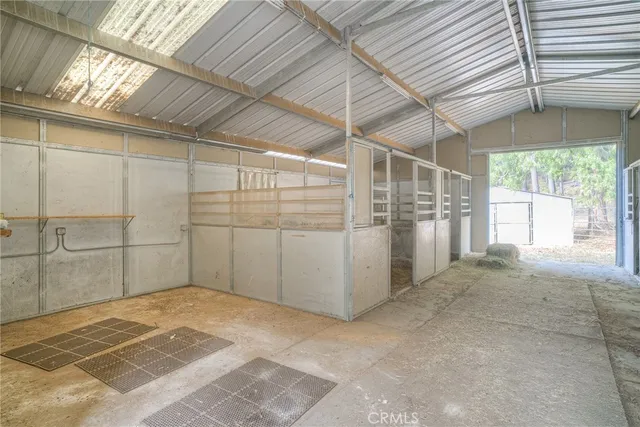 a view of a yard with plants and trees