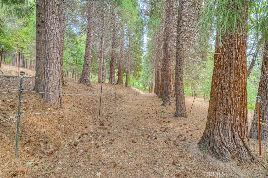 3635 Charqui Court Oroville, CA 95965 - Photo 46 of 75