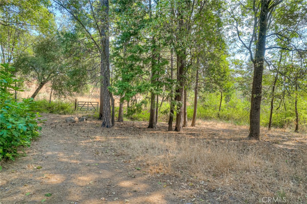 3635 Charqui Court Oroville, CA 95965 - Photo 47 of 75 a view of a forest with trees in the background
