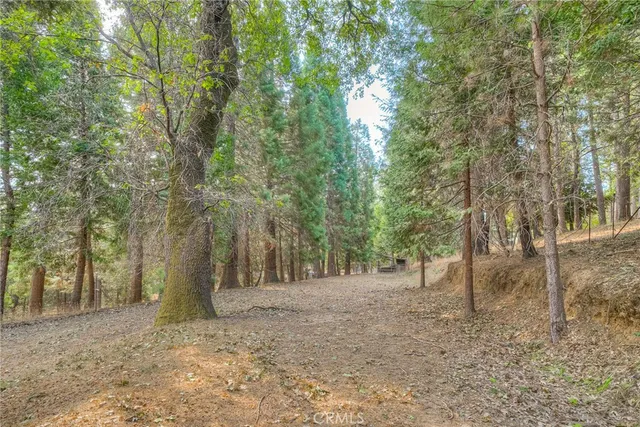 a view of a tennis court