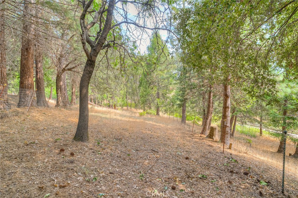 3635 Charqui Court Oroville, CA 95965 - Photo 50 of 75 a view of a forest with trees