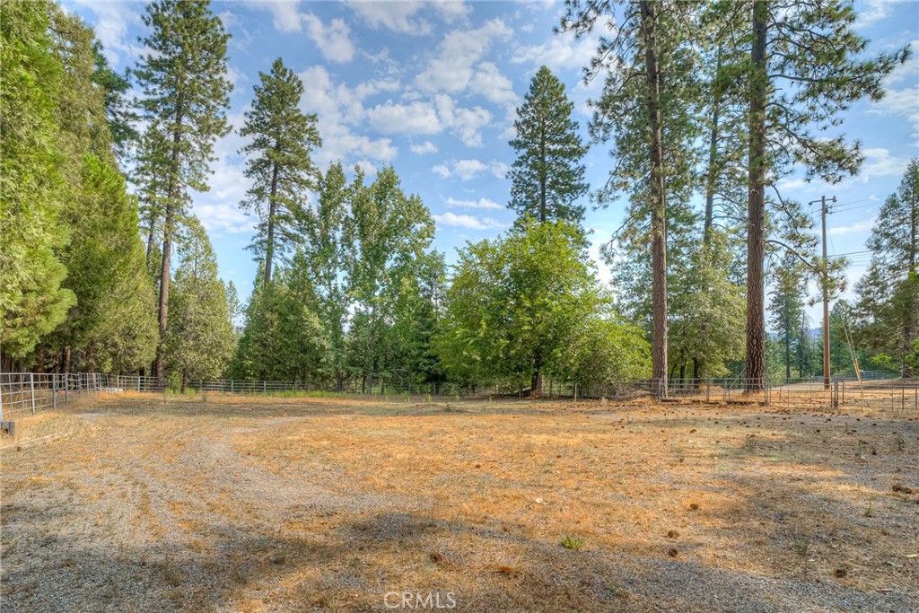 3635 Charqui Court Oroville, CA 95965 - Photo 56 of 75 a backyard of a house with lots of trees