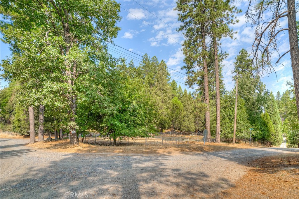 3635 Charqui Court Oroville, CA 95965 - Photo 58 of 75 a view of a yard with plants and trees