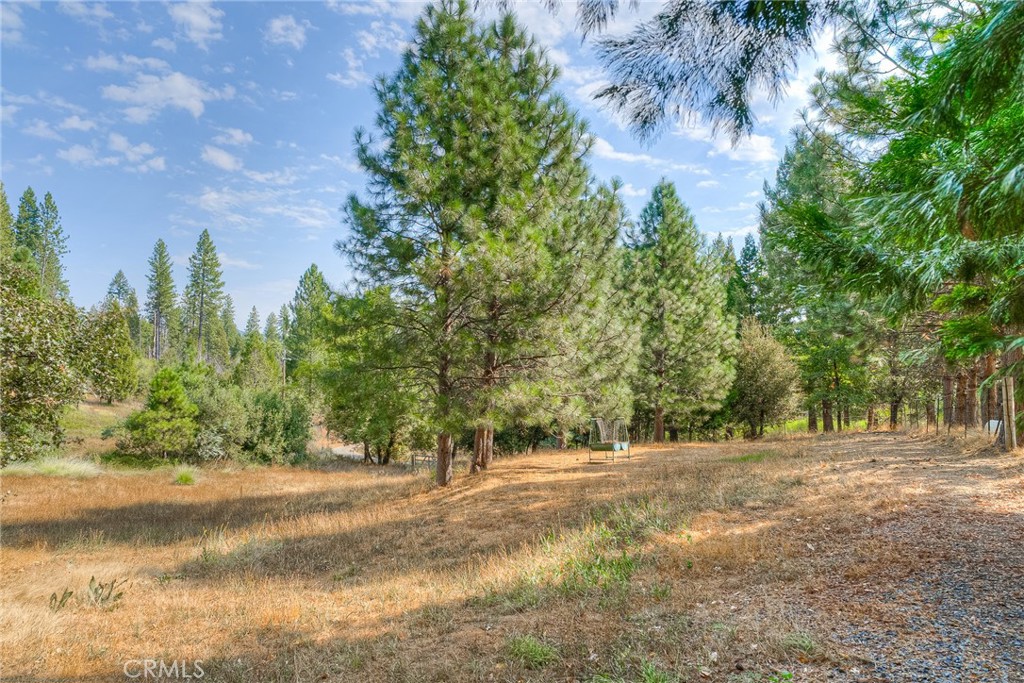 3635 Charqui Court Oroville, CA 95965 - Photo 64 of 75 a view of outdoor space with trees