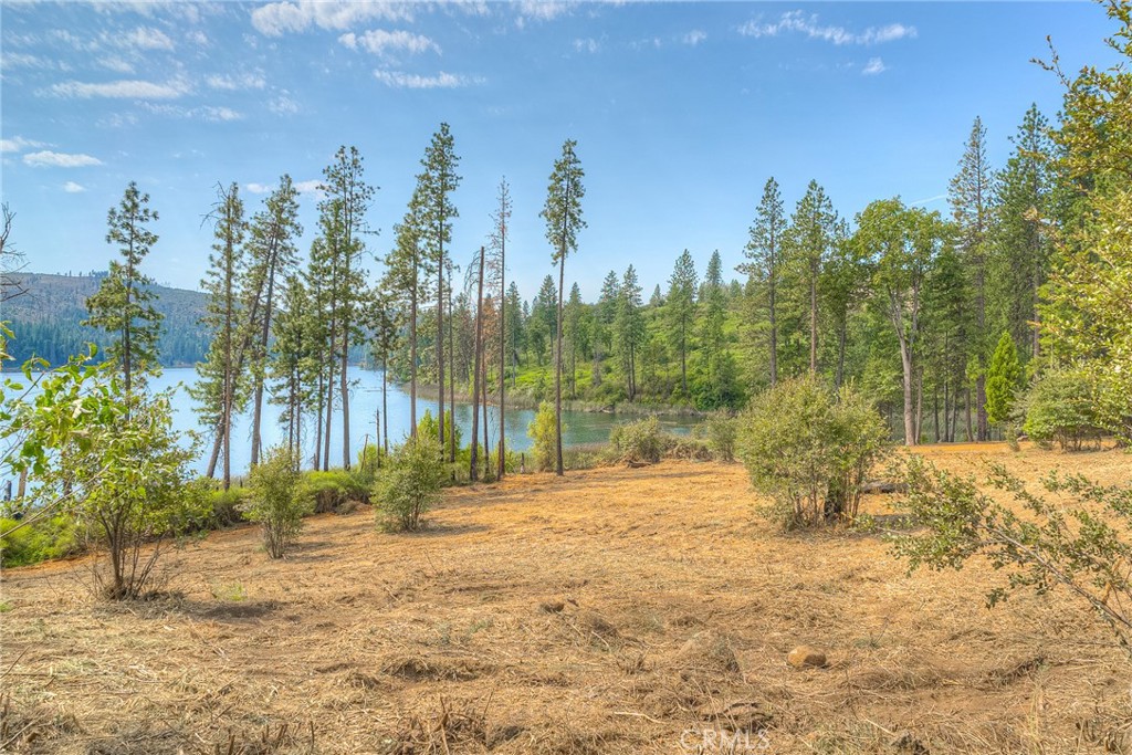 3635 Charqui Court Oroville, CA 95965 - Photo 67 of 75 a view of a yard with trees