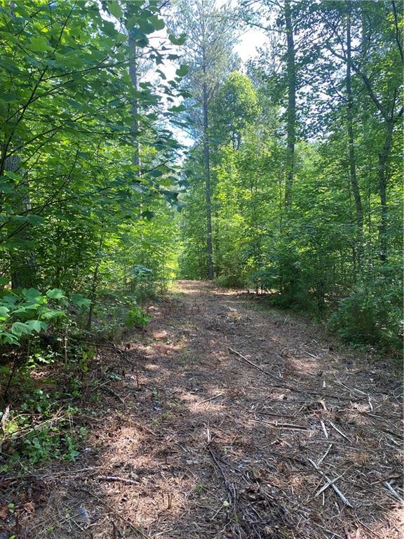 Lot 3 Falling Springs Road Rydal, GA 30171 - Photo 1 of 1 a view of a forest with trees in the background