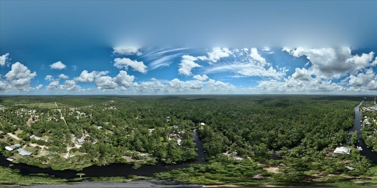 1334 Jr Howell Road Steinhatchee, FL 32359 - Photo 55 of 69