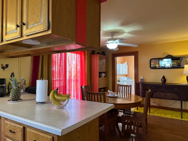 $135,000 | 203 Monroe Street, Hanover, IL 61041