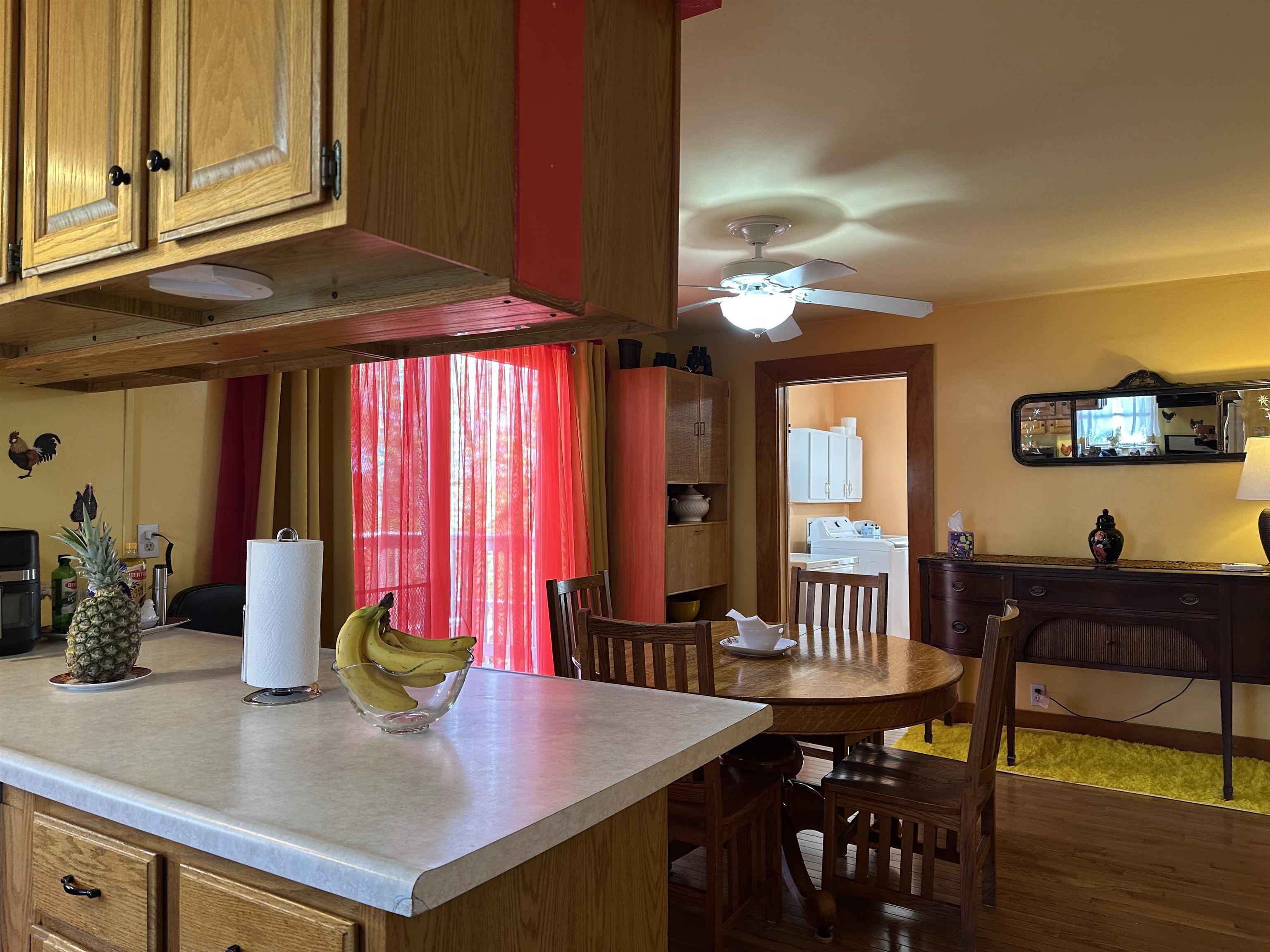 203 Monroe Street Hanover, IL 61041 - Photo 7 of 33