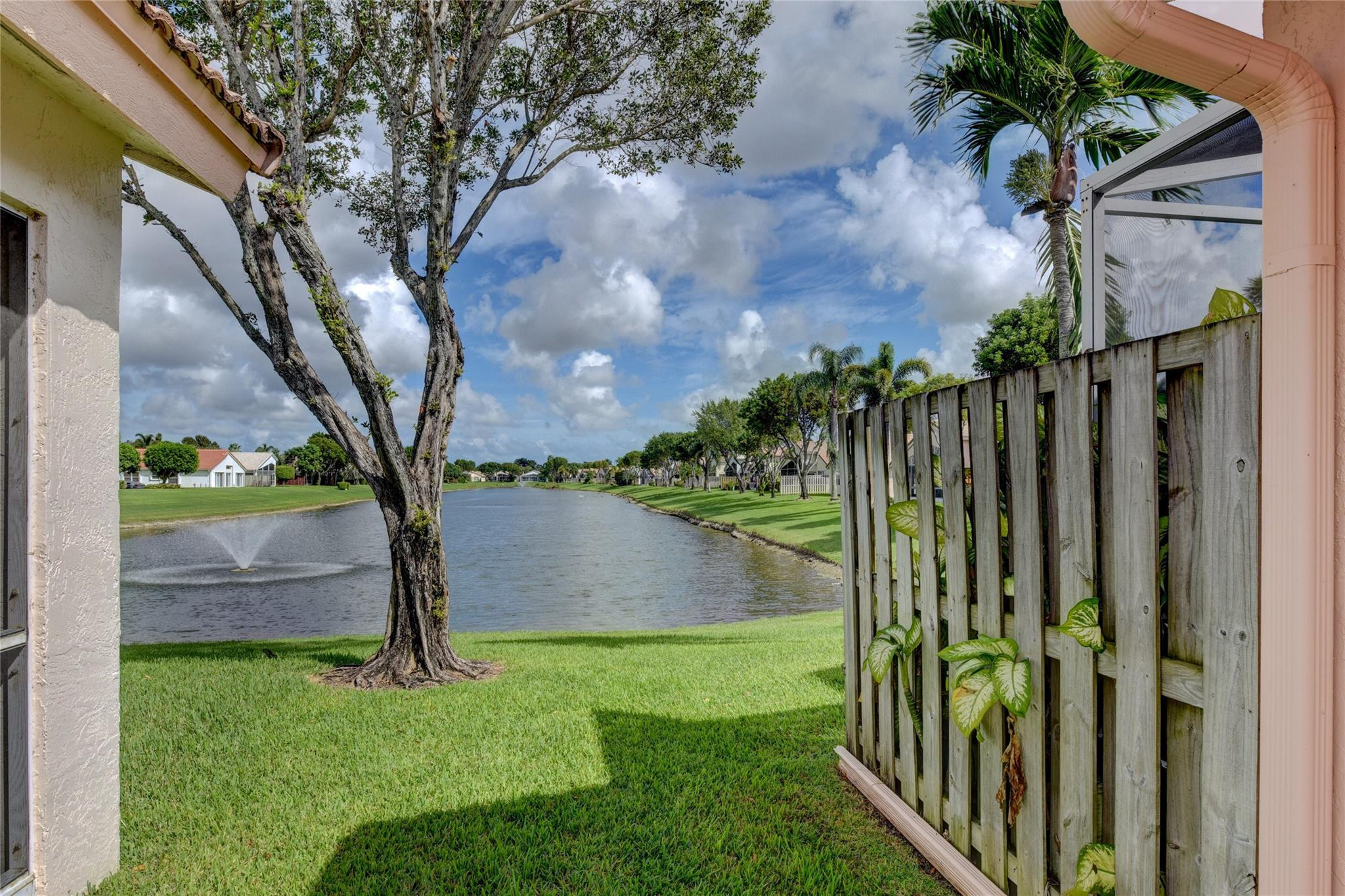 22918 Sterling Lakes Drive Boca Raton, FL 33433 - Photo 6 of 57 a view of a backyard with plants and a large tree