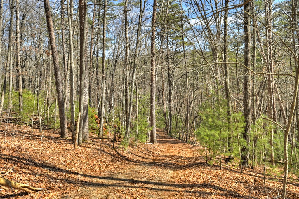 331 Chestnut Gap Road Blue Ridge, GA 30513 - Photo 34 of 44 Gallery Image 34