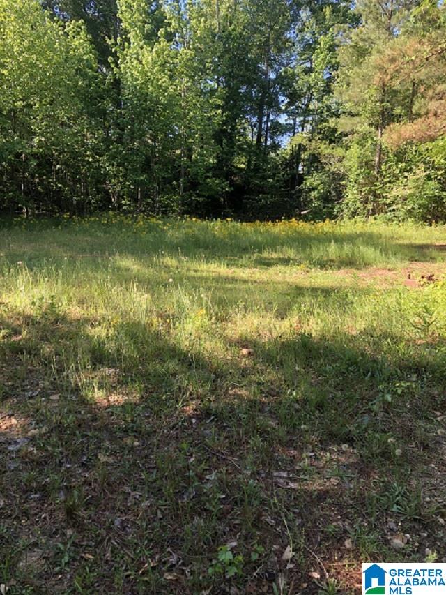 1075 County Road 271, Unit 1 Jemison, AL 35085 - Photo 3 of 8