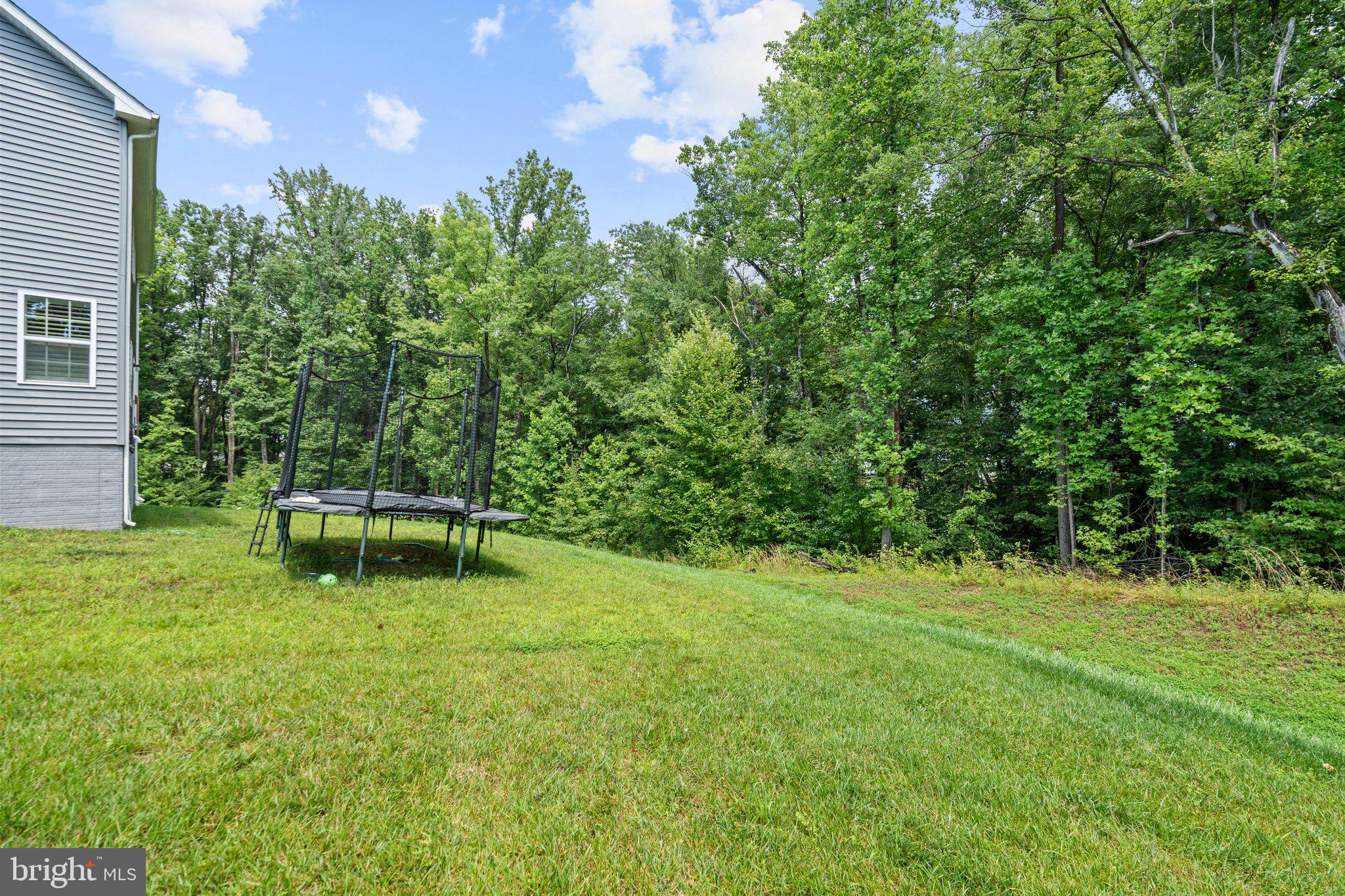 1432 Serviceberry Way Odenton, MD 21113 - Photo 45 of 56