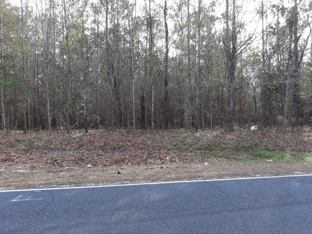 0 Govan Barnwell, SC 29812 - Photo 3 of 3