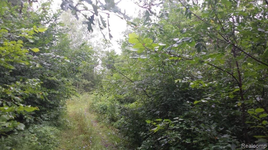 335 East Galbraith Line Road Melvin, MI 48454 - Photo 2 of 6