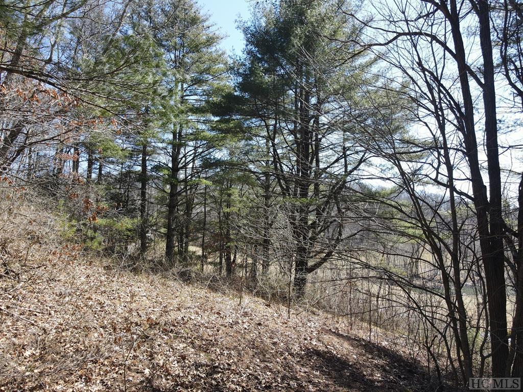Tbd Pine Creek Road Cullowhee, NC 28723 - Photo 17 of 51 Gallery Image 17