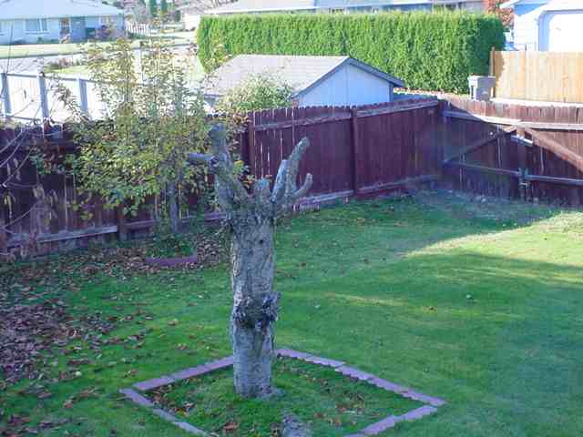 1412 South Virginia Road Spokane Valley, WA 99216 - Photo 2 of 9