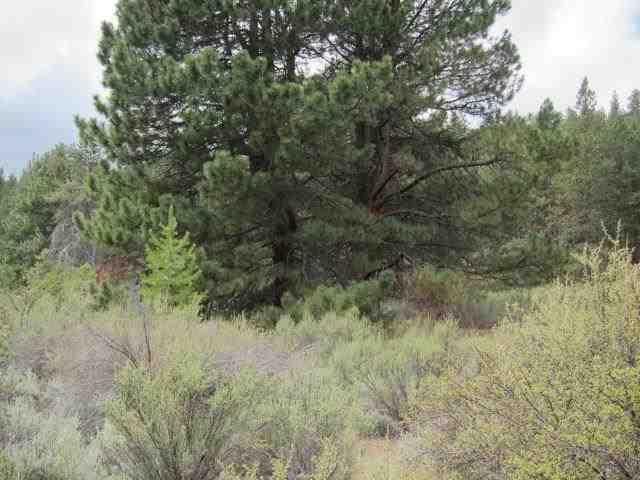 0 Rollingwood Road Chiloquin, OR 97624 - Photo 13 of 14 Additional Photo