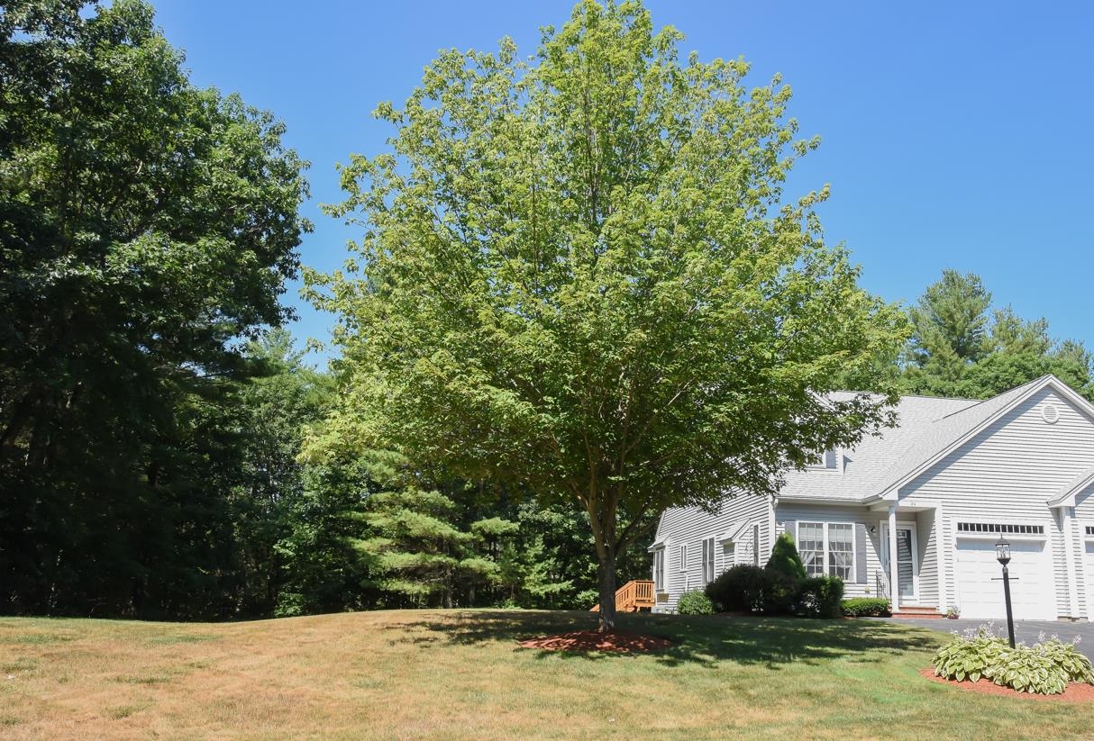 24 Hadleigh Road Windham, NH 03087 - Photo 2 of 40