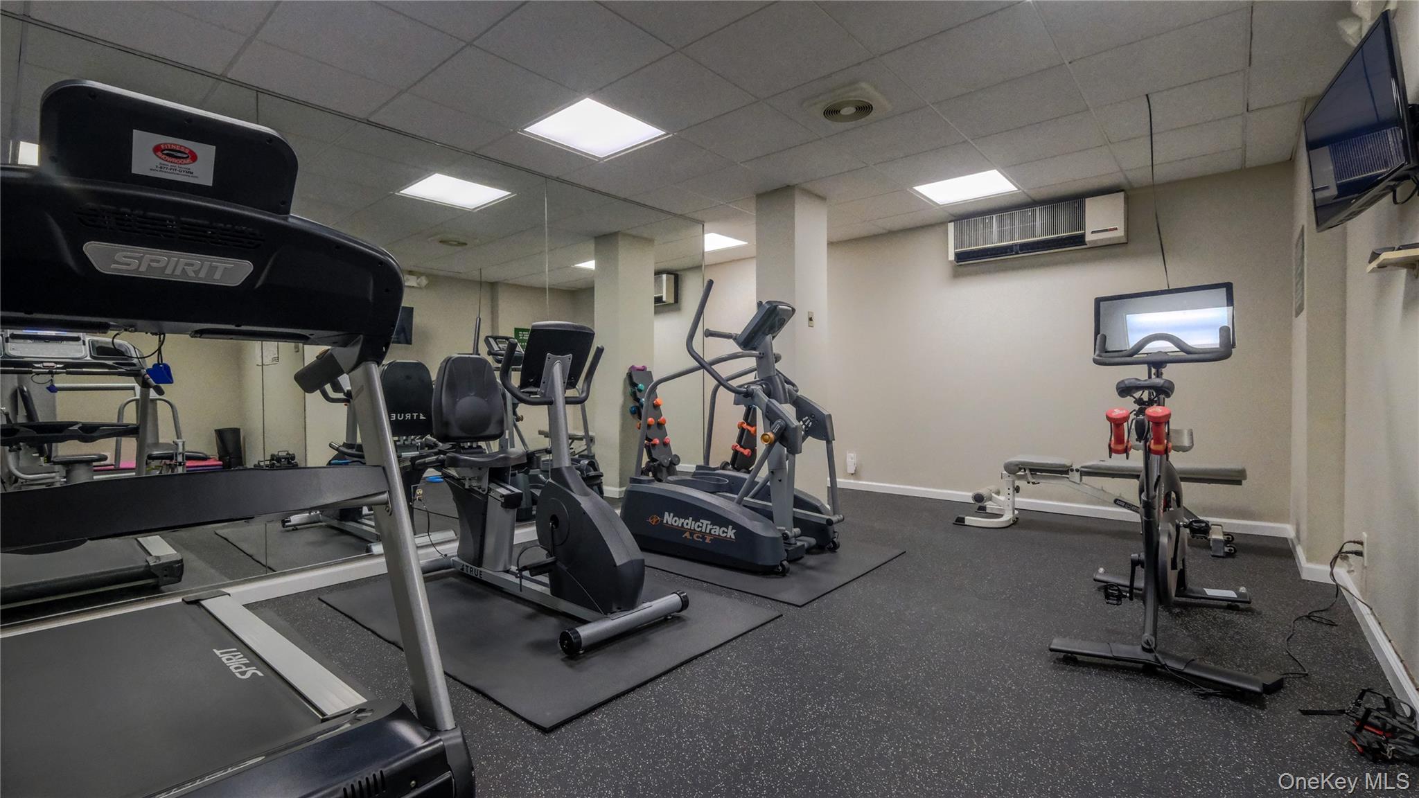 20 Canterbury Road, Unit 1P Great Neck, NY 11021 - Photo 25 of 28 Fitness Center