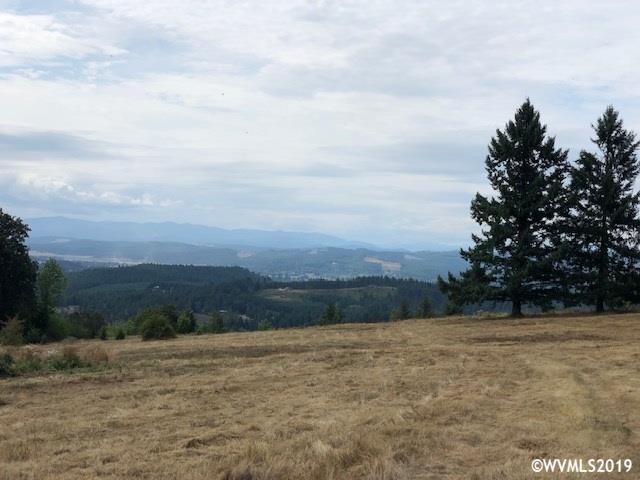 Richardson (parcel 2) Road Dallas, OR 97338 - Photo 7 of 14