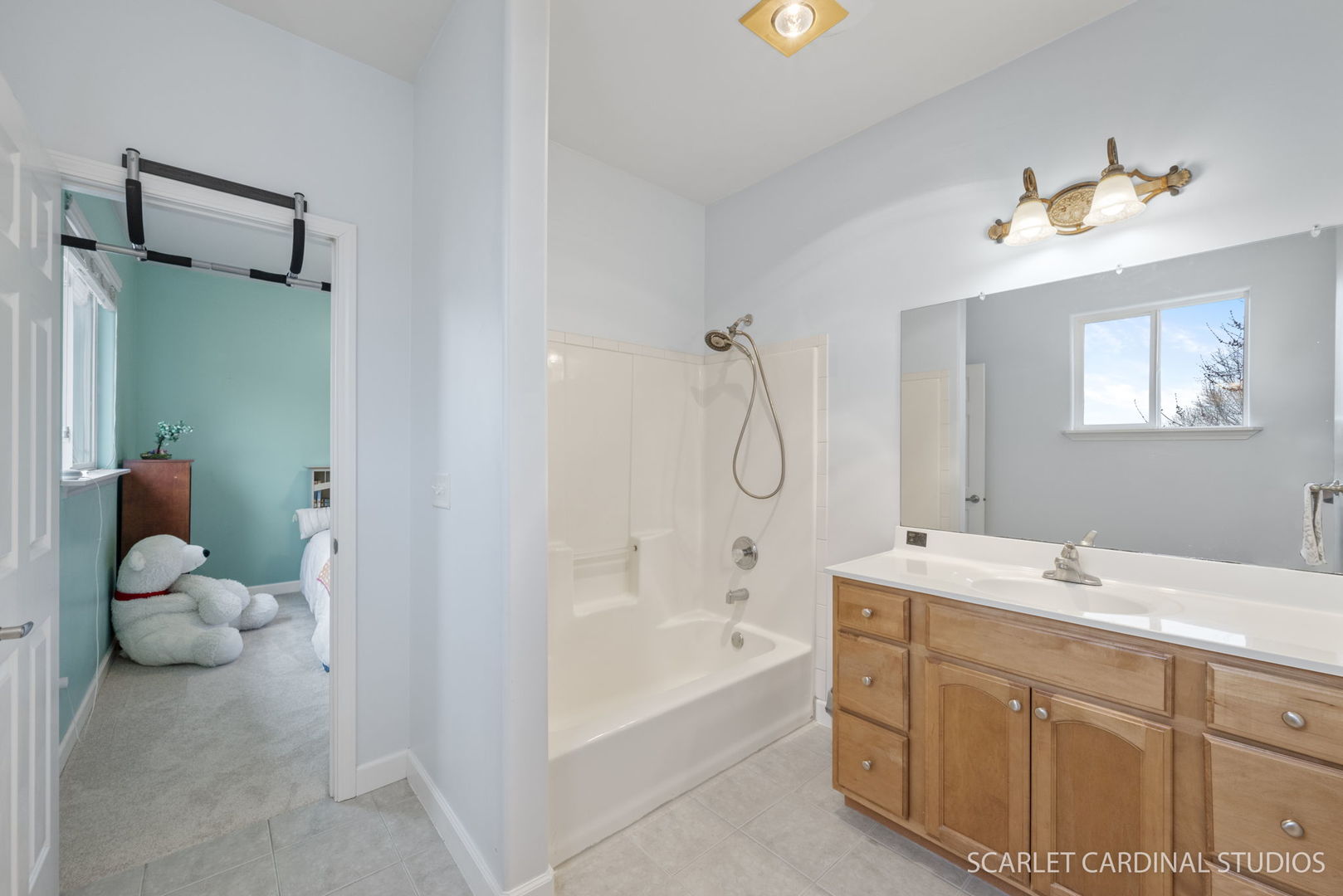716 Cornwall Circle Sugar Grove, IL 60554 - Photo 18 of 29 a bathroom with a sink mirror and a bathtub