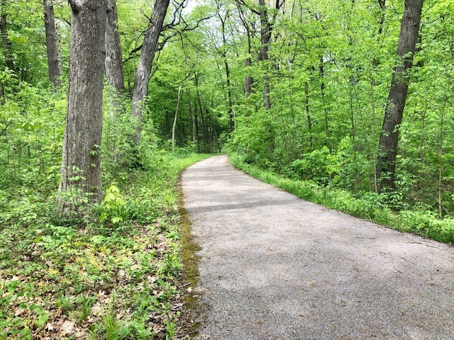 716 Cornwall Circle Sugar Grove, IL 60554 - Photo 29 of 29 a view of a yard with plants and a large tree