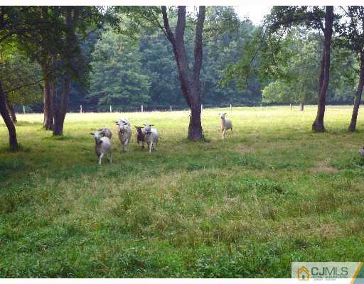 222 Dey Road Cranbury, NJ 08512 - Photo 3 of 6 Gallery Image 3