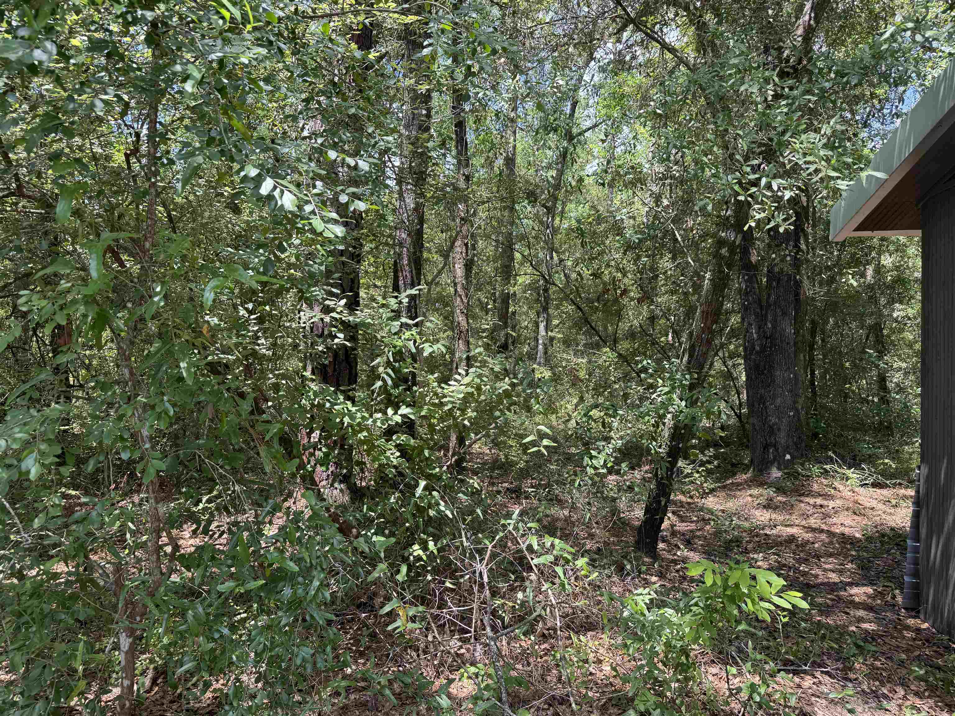 4294 Wainwright Road Tallahassee, FL 32310 - Photo 38 of 46