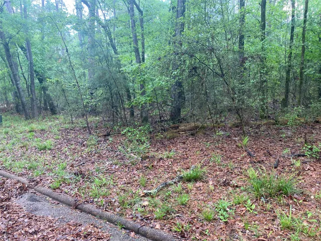 $7,000 | 26724 West Lsv Pecan Lane, Oakhurst, TX 77359