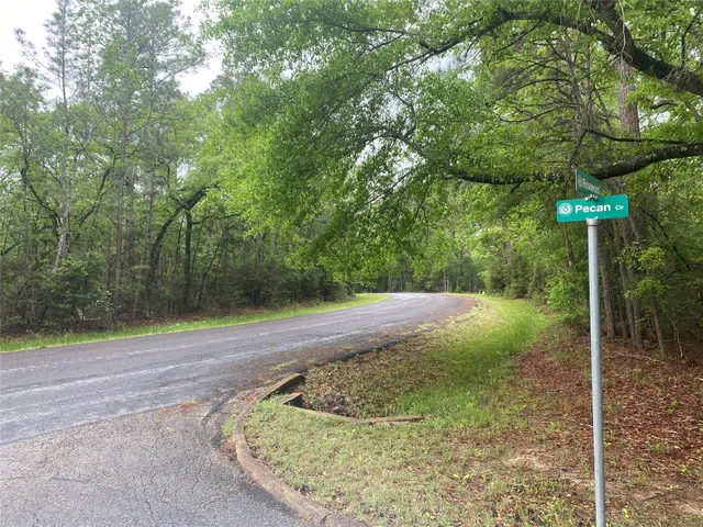 $7,000 | 26724 West Lsv Pecan Lane, Oakhurst, TX 77359