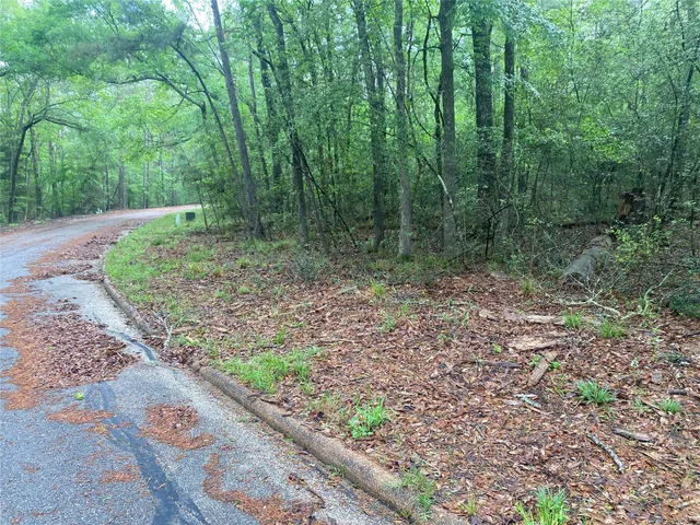 $7,000 | 26724 West Lsv Pecan Lane, Oakhurst, TX 77359