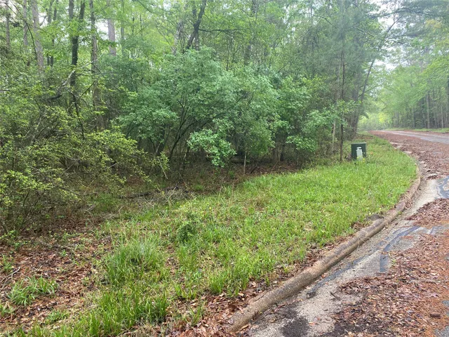 $7,000 | 26724 West Lsv Pecan Lane, Oakhurst, TX 77359