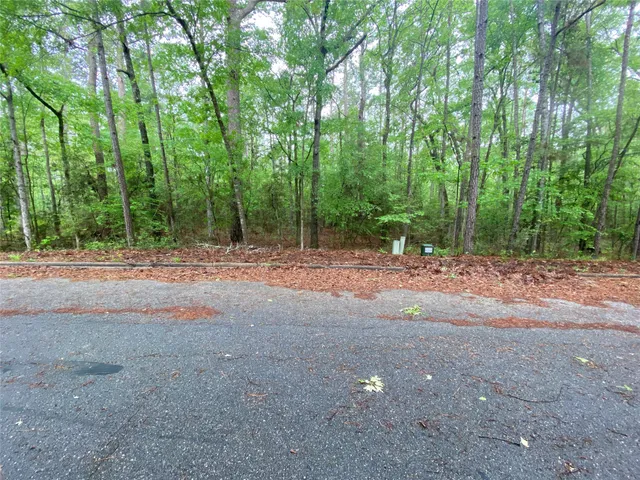 $7,000 | 26724 West Lsv Pecan Lane, Oakhurst, TX 77359