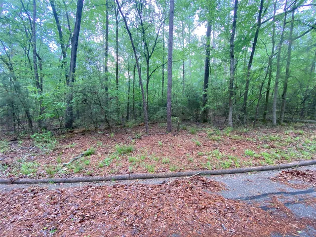 $7,000 | 26724 West Lsv Pecan Lane, Oakhurst, TX 77359