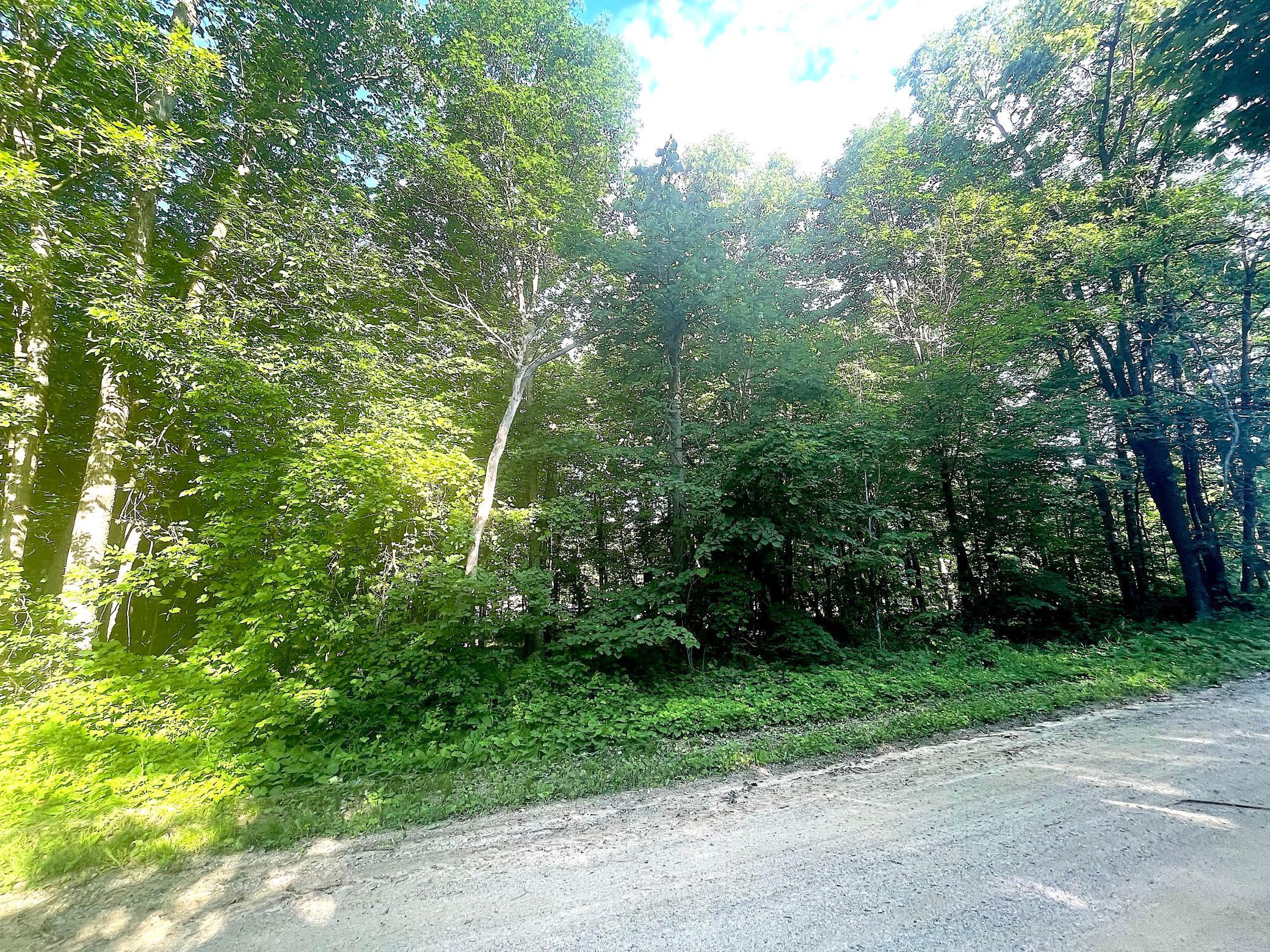 Tbd Blue Water Beach Road Northwest Walker, MN 56484 - Photo 12 of 18