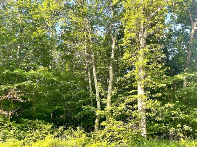 $19,900 | Tbd Blue Water Beach Road Northwest, Walker, MN 56484