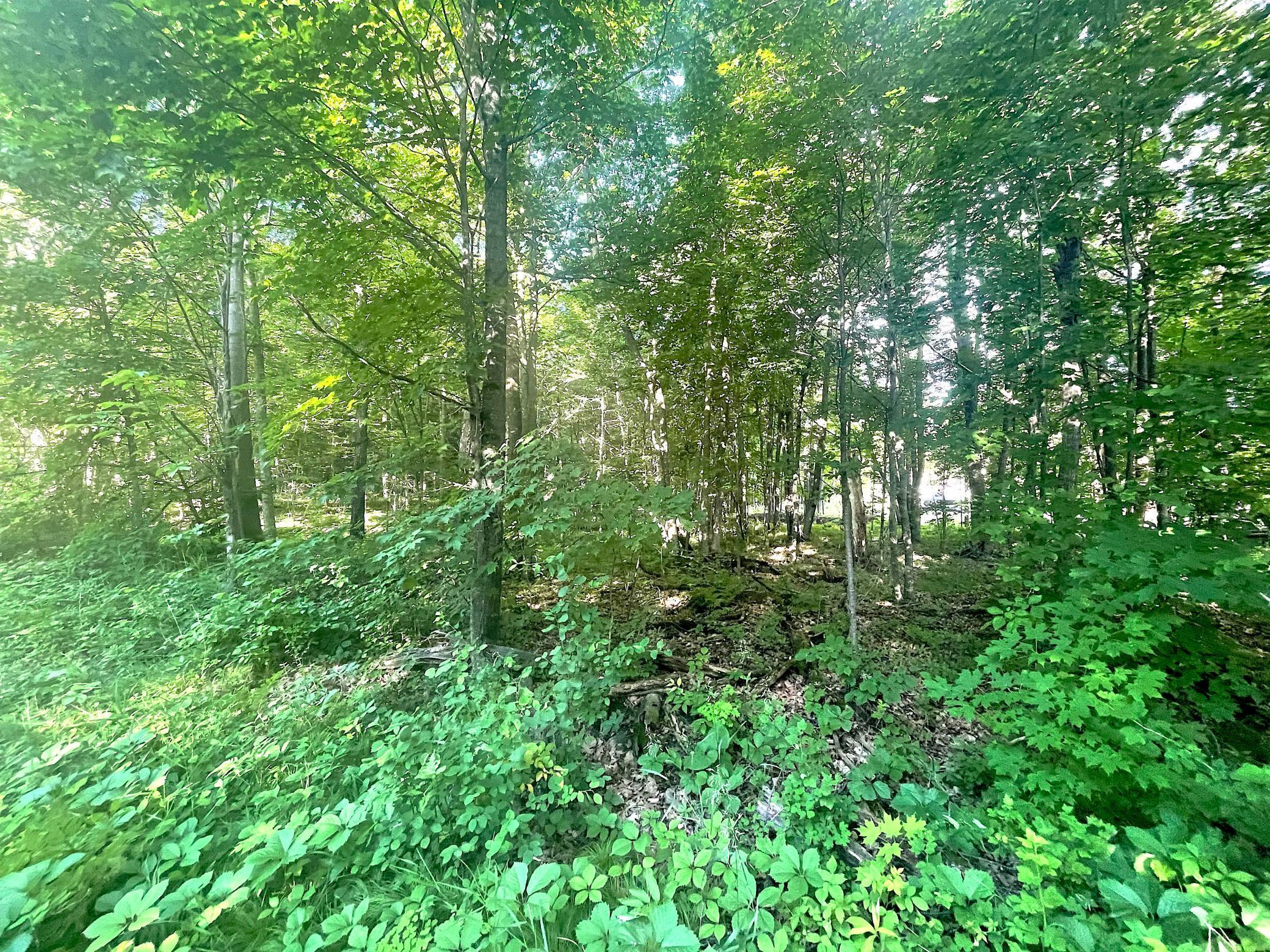 Tbd Blue Water Beach Road Northwest Walker, MN 56484 - Photo 14 of 18