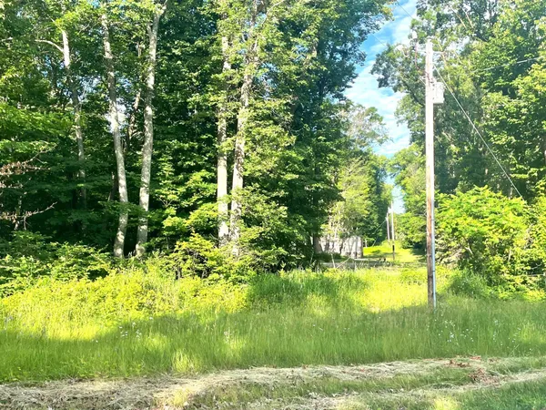 $19,900 | Tbd Blue Water Beach Road Northwest, Walker, MN 56484