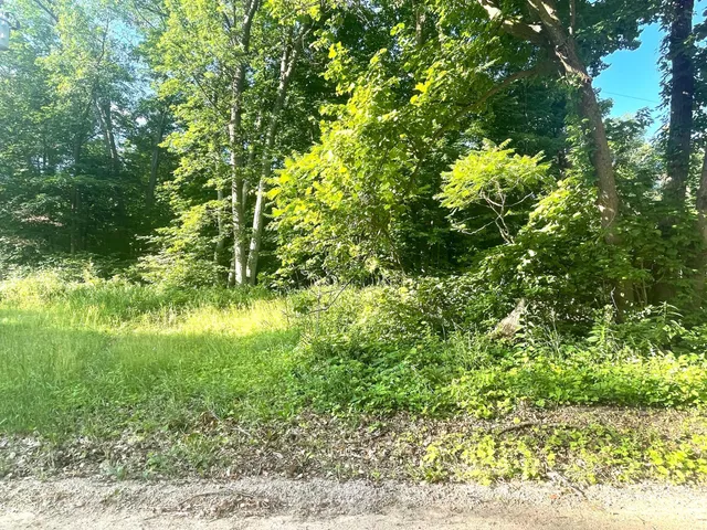 $19,900 | Tbd Blue Water Beach Road Northwest, Walker, MN 56484