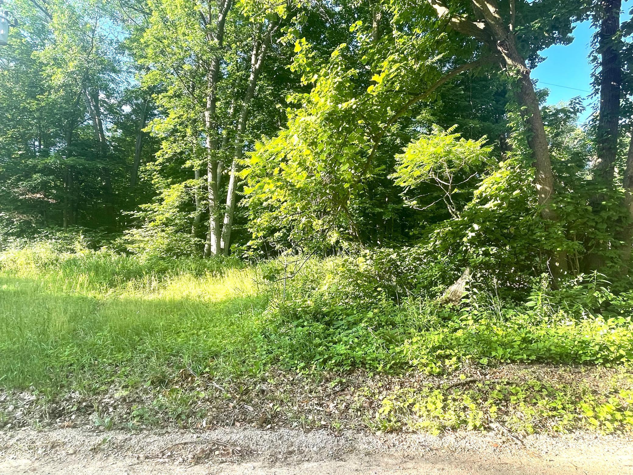 Tbd Blue Water Beach Road Northwest Walker, MN 56484 - Photo 16 of 18