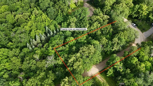 $19,900 | Tbd Blue Water Beach Road Northwest, Walker, MN 56484