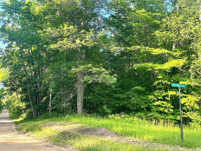 $19,900 | Tbd Blue Water Beach Road Northwest, Walker, MN 56484