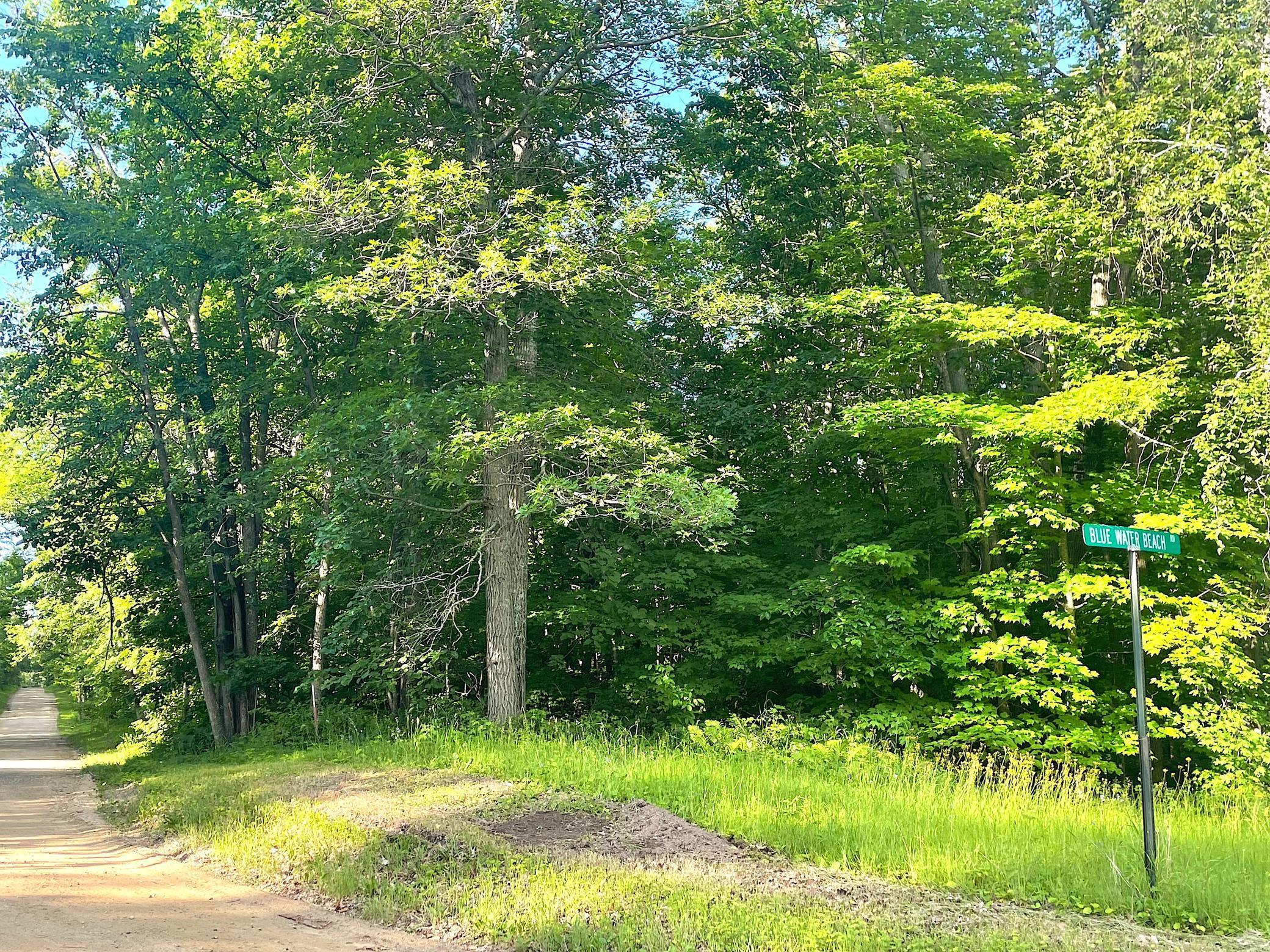 Tbd Blue Water Beach Road Northwest Walker, MN 56484 - Photo 4 of 18