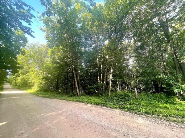 $19,900 | Tbd Blue Water Beach Road Northwest, Walker, MN 56484