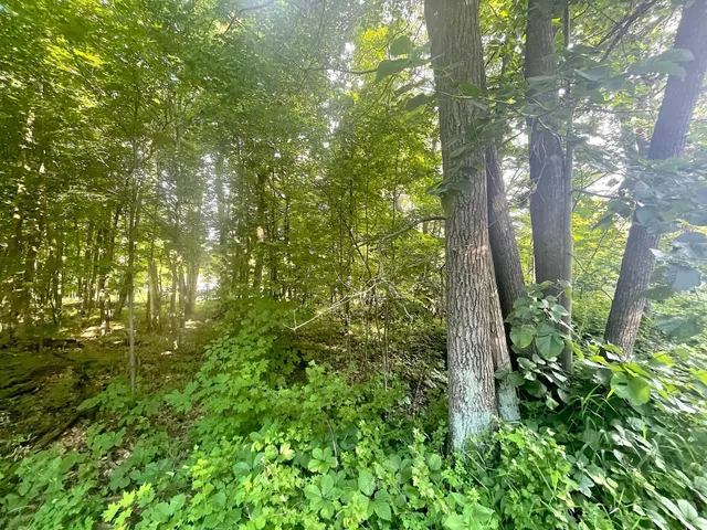 $19,900 | Tbd Blue Water Beach Road Northwest, Walker, MN 56484