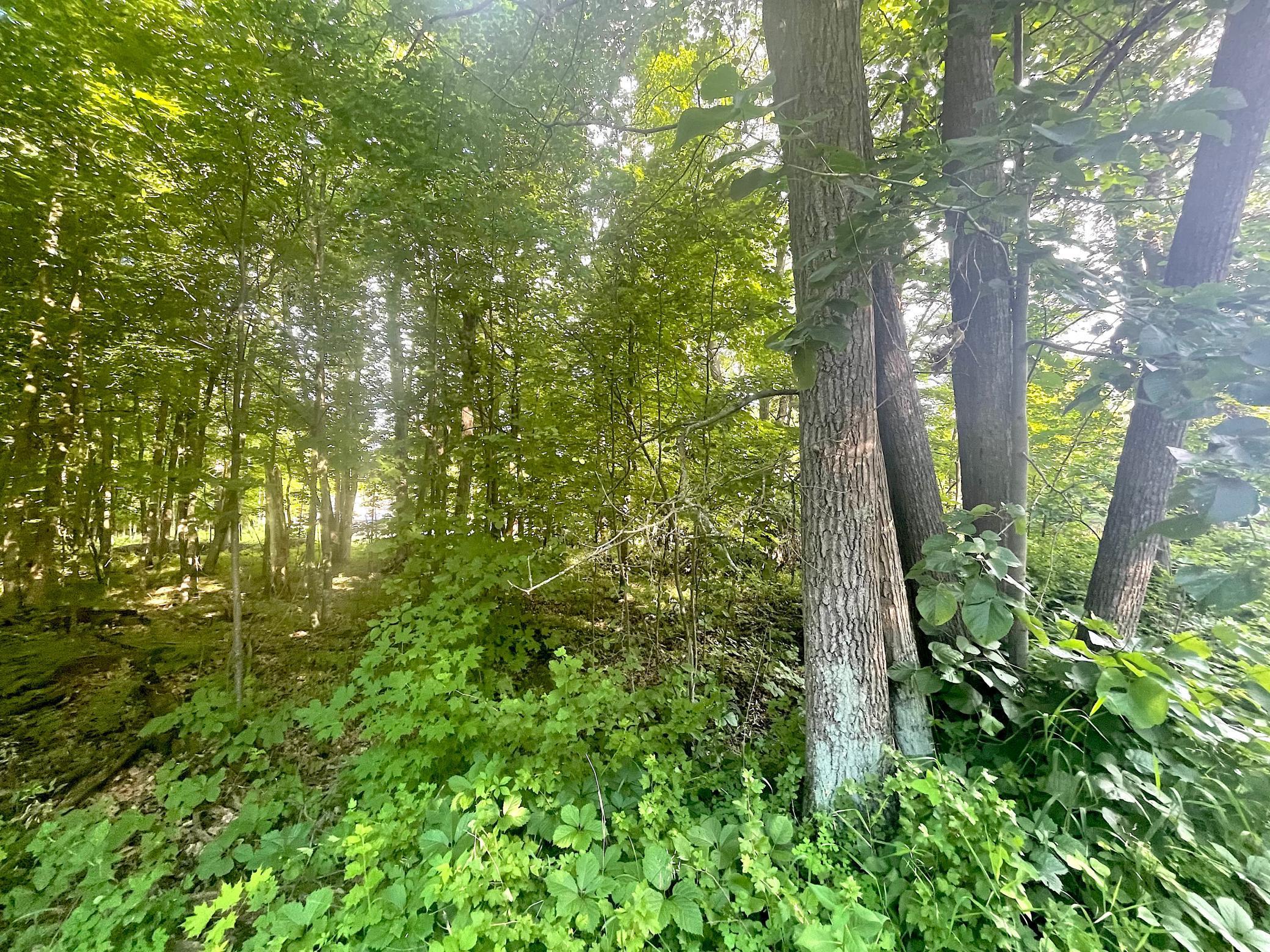 Tbd Blue Water Beach Road Northwest Walker, MN 56484 - Photo 8 of 18