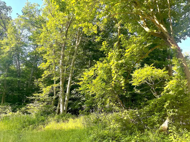 $19,900 | Tbd Blue Water Beach Road Northwest, Walker, MN 56484