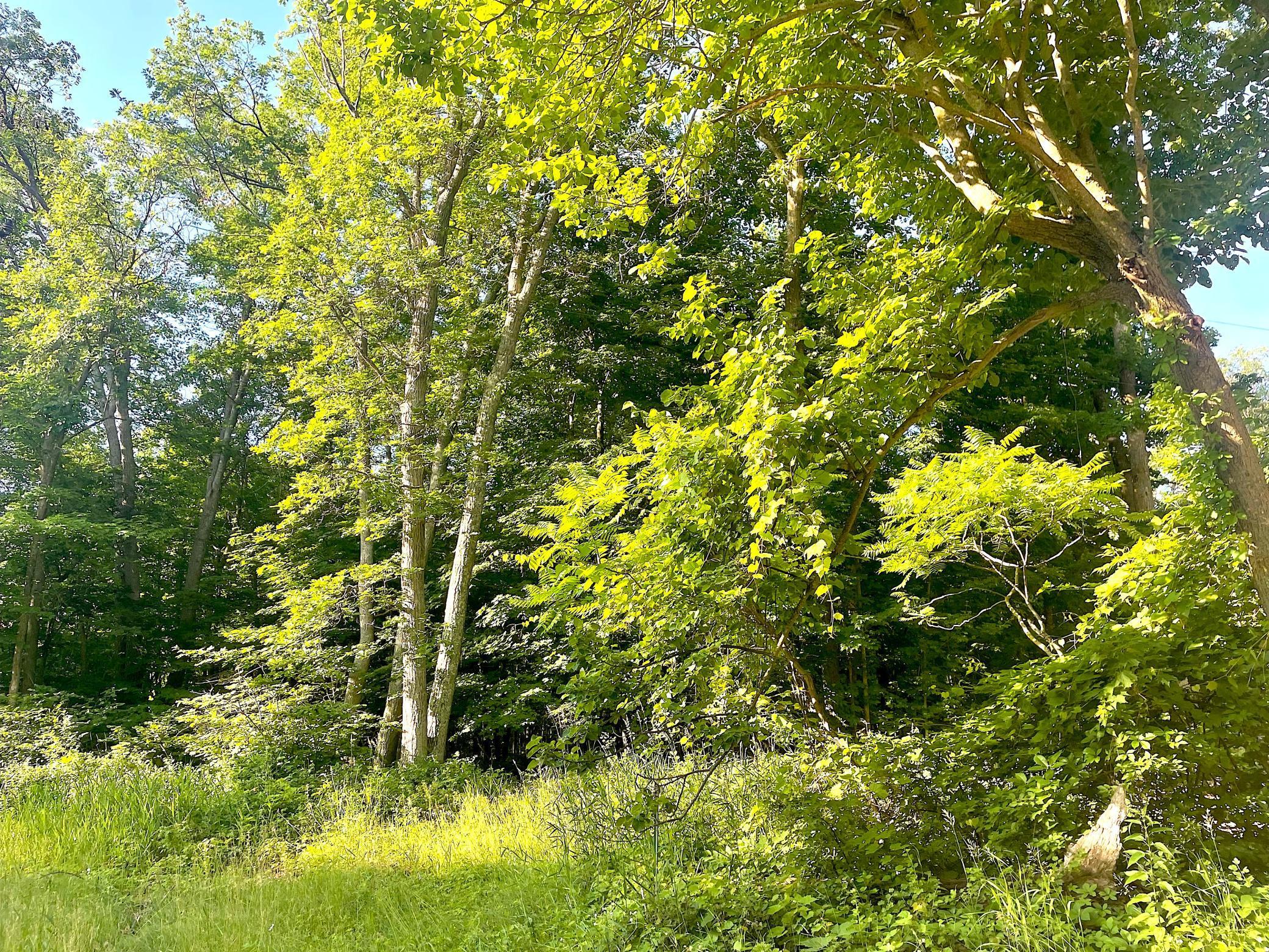 Tbd Blue Water Beach Road Northwest Walker, MN 56484 - Photo 9 of 18
