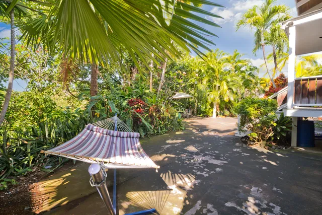 a view of backyard with a table and chairs and potted plants